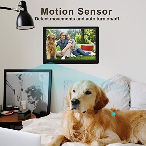 Golden retriever near a digital frame with motion sensor.